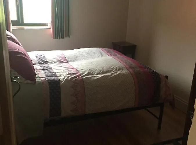 Sycamore, Moss Hagg Farm Selby