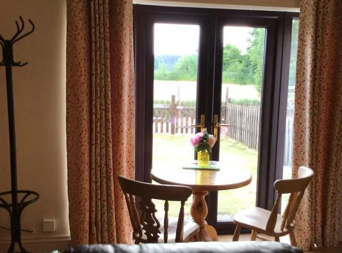 Sycamore, Moss Hagg Farm Selby